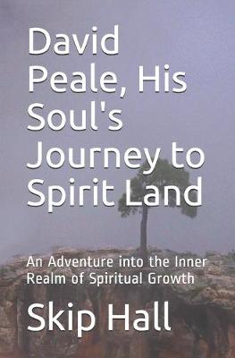 Book cover for David Peale, His Soul's Journey to Spirit Land