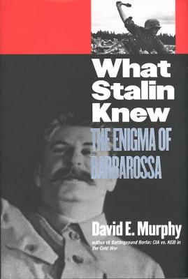 Book cover for What Stalin Knew