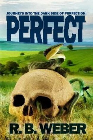 Cover of PERFECT