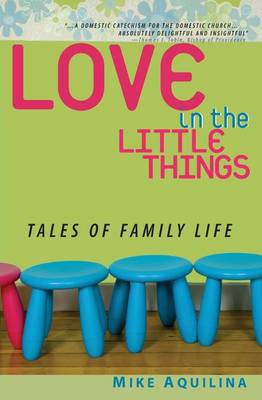 Book cover for Love in the Little Things