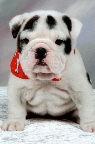 Cover of Adorable English Bulldog Puppy Journal - What a Cute Pup!