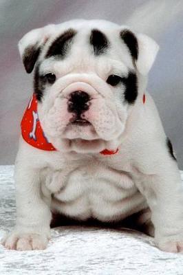 Book cover for Adorable English Bulldog Puppy Journal - What a Cute Pup!