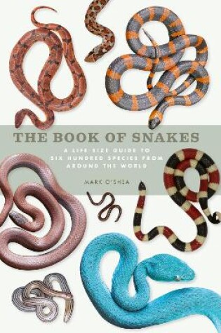 Cover of The Book of Snakes