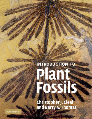 Book cover for An Introduction to Plant Fossils