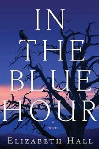 Cover of In the Blue Hour