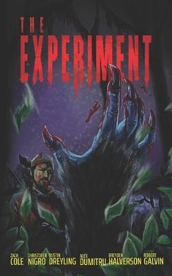 Book cover for The Experiment