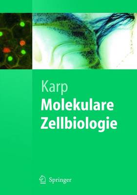 Book cover for Molekulare Zellbiologie