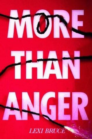 Cover of More Than Anger
