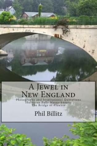 Cover of A Jewel in New England