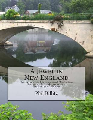 Book cover for A Jewel in New England