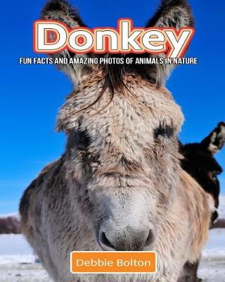 Book cover for Donkey