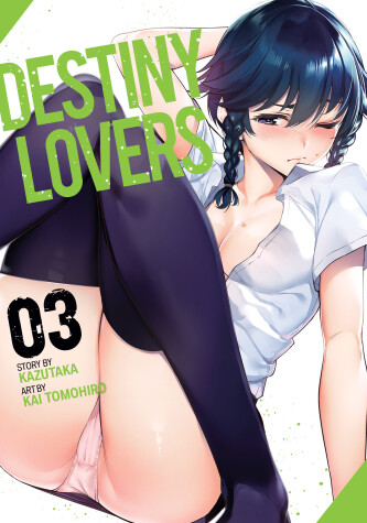 Book cover for Destiny Lovers Vol. 3