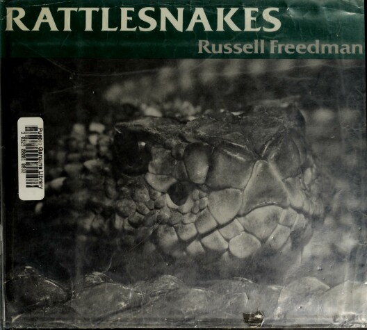 Book cover for Rattlesnakes