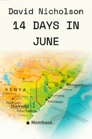 Cover of 14 Days In June