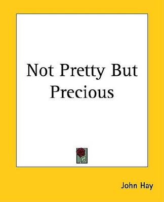 Book cover for Not Pretty But Precious