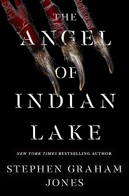 Cover of The Angel of Indian Lake
