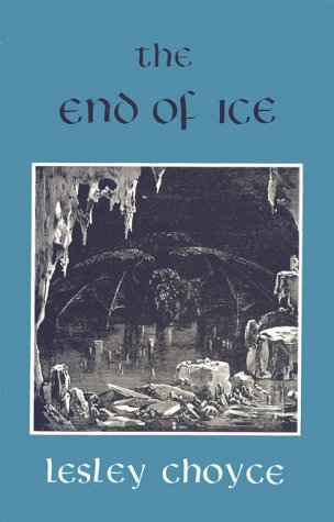 Book cover for The End of Ice