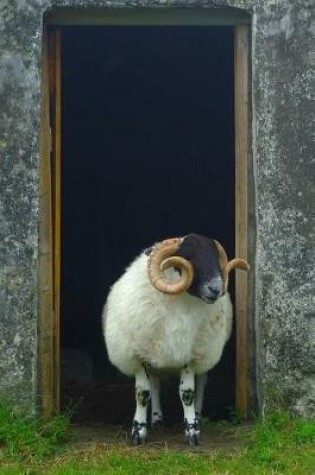 Cover of Curly Horned Ram in the Doorway Sheep in Scotland Journal