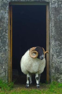 Book cover for Curly Horned Ram in the Doorway Sheep in Scotland Journal