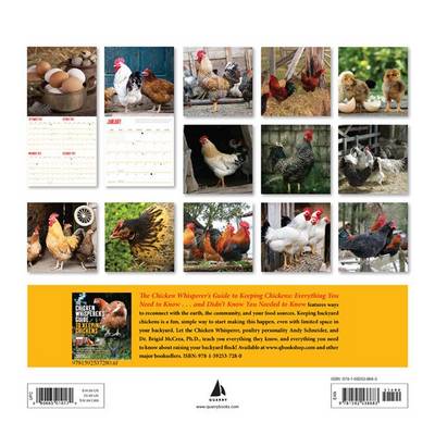 Book cover for Keeping Chickens 2014 Calendar