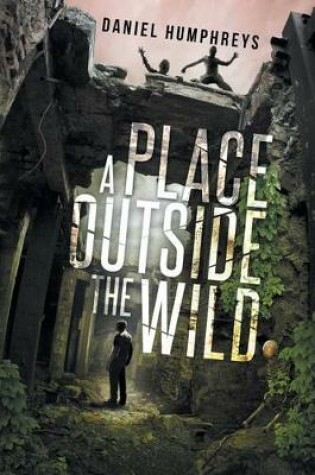 Cover of A Place Outside the Wild