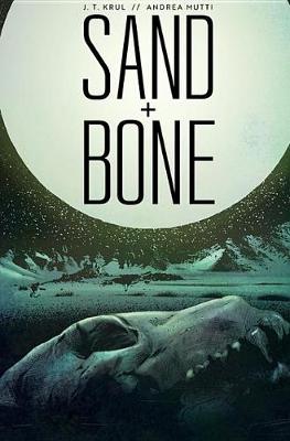 Book cover for Sand + Bone