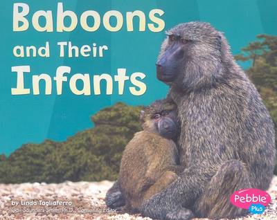 Cover of Baboons and Their Infants