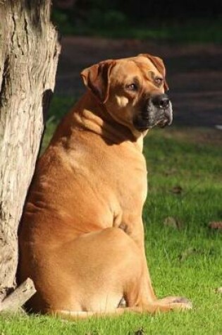 Cover of Sweet and Serious Bull Mastiff Dog Sitting in the Sunshine Journal