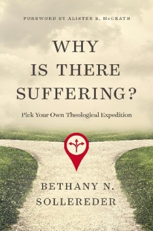 Cover of Why Is There Suffering?