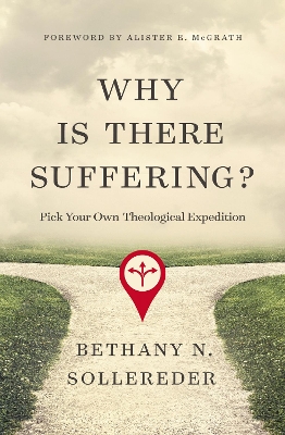 Book cover for Why Is There Suffering?