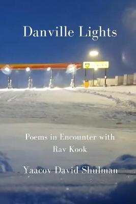 Book cover for Danville Lights