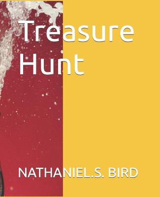 Book cover for Treasure Hunt