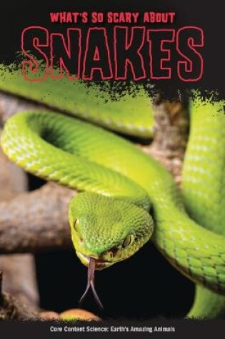 Cover of What's So Scary about Snakes?