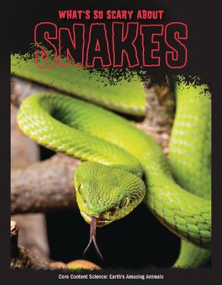 Book cover for What's So Scary about Snakes?