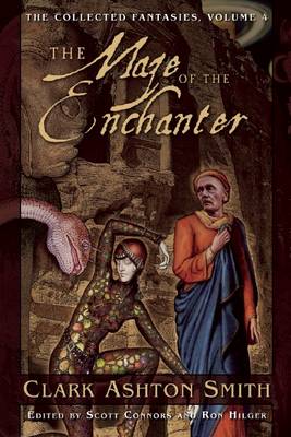 Book cover for The Maze of the Enchanter