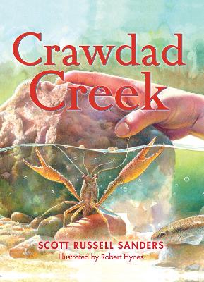 Book cover for Crawdad Creek