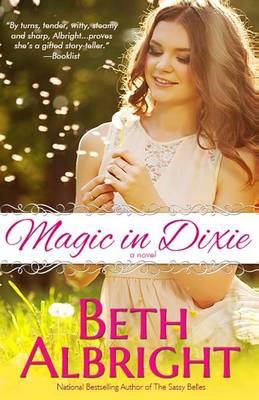 Book cover for Magic In Dixie