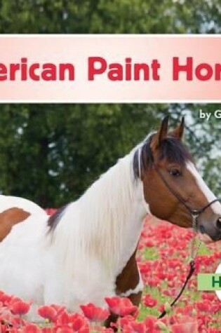 Cover of American Paint Horses