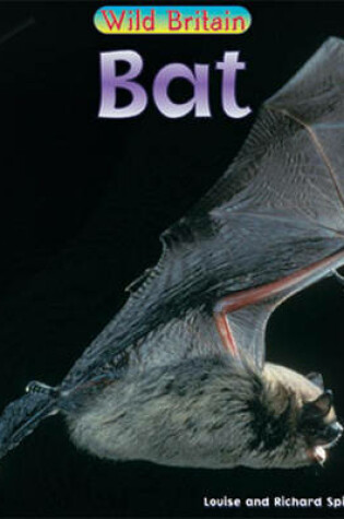 Cover of Wild Britain: Bat Paperback