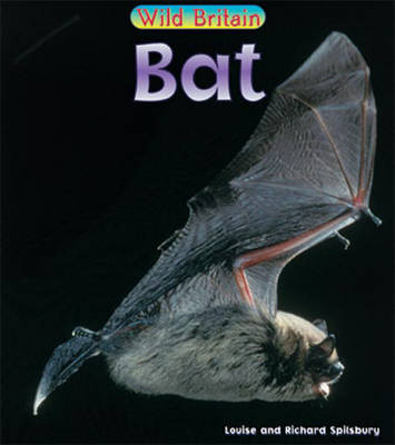 Book cover for Wild Britain: Bat Paperback
