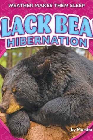 Cover of Black Bear Hibernation