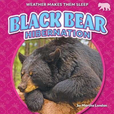 Book cover for Black Bear Hibernation