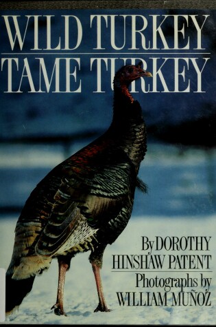 Cover of Wild Turkey, Tame Turkey