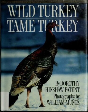 Book cover for Wild Turkey, Tame Turkey