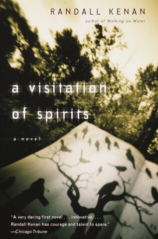 Cover of A Visitation of Spirits