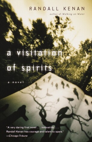 Book cover for A Visitation of Spirits