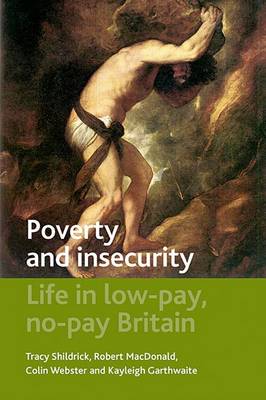 Book cover for Poverty and Insecurity
