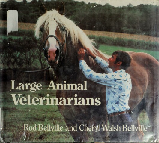 Book cover for Large Animal Veterinarians