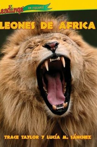 Cover of Leones de Frica (Lions of Africa)