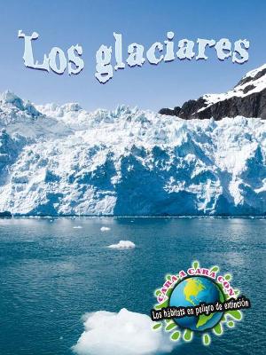 Cover of Los Glaciares